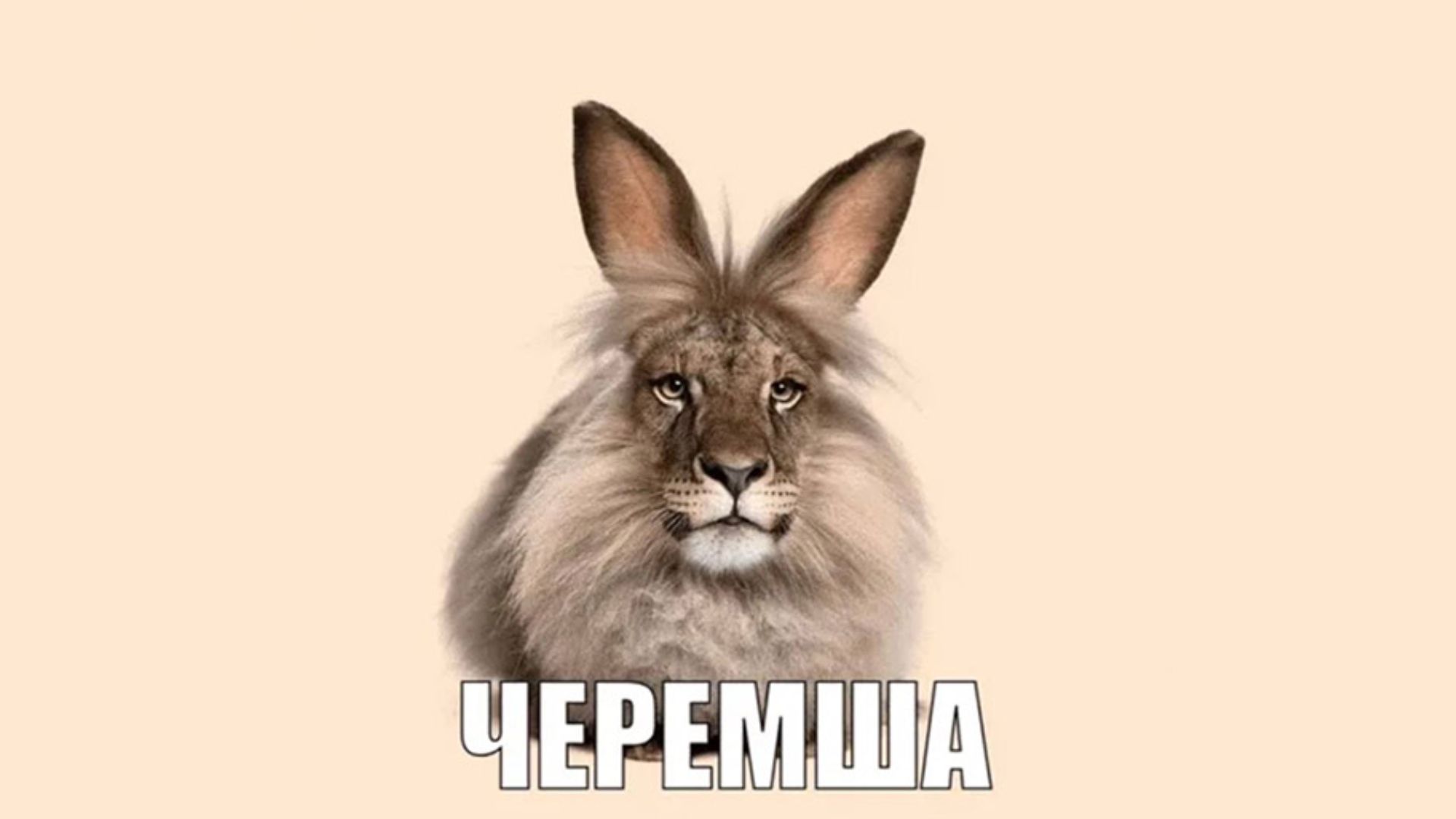 Черемша была крутой